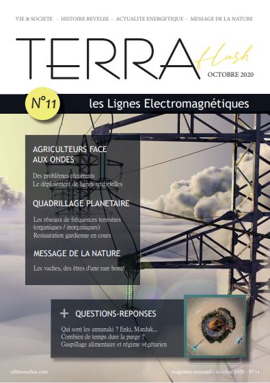 MAGAZINE N°11 (OCTOBRE 2020) : Les Lignes Electromagnétiques